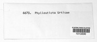 Phyllosticta urticae image